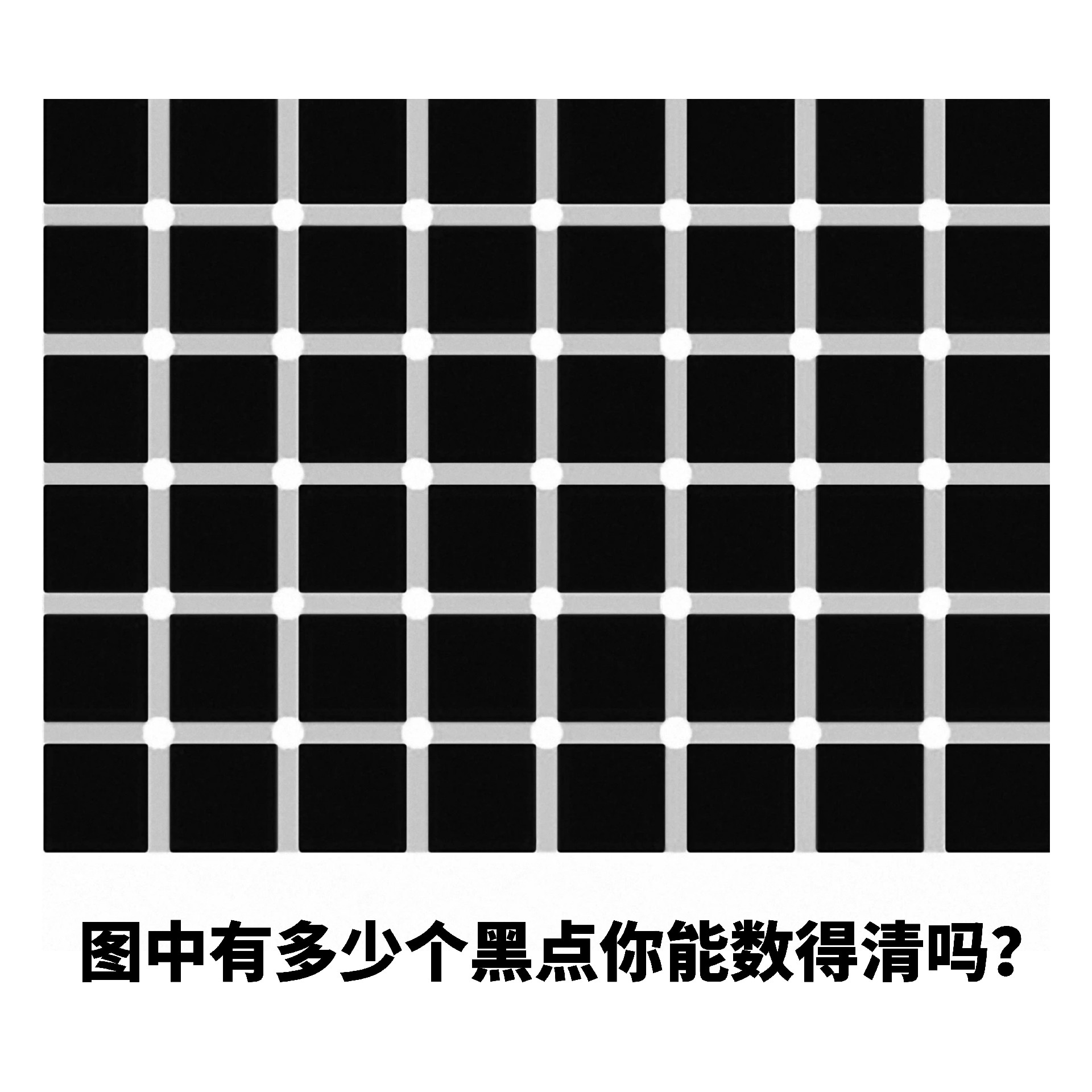 1750907205114866.jpg